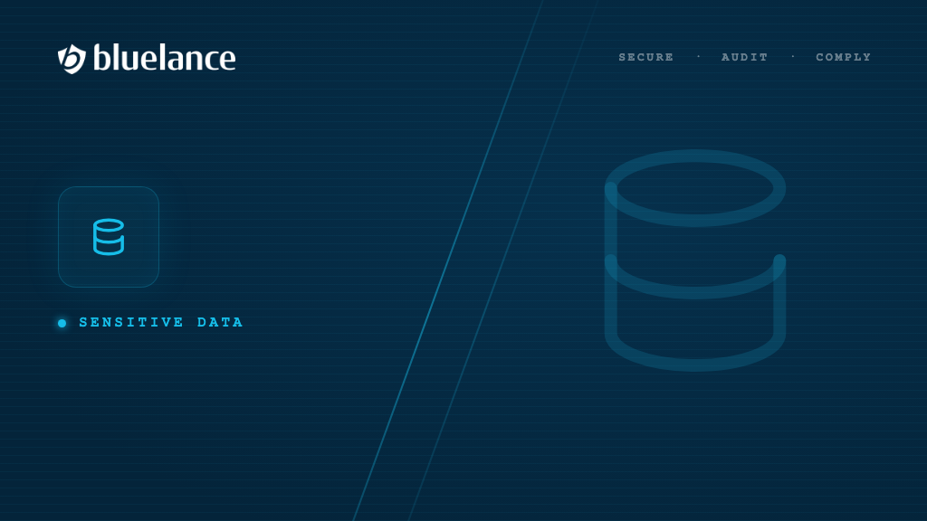 Find Your Sensitive Data Before an Auditor Does